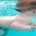 natação para bebês