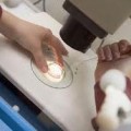 Técnica de Maturação In Vitro de Óvulos IVM