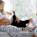 toxoplasmose