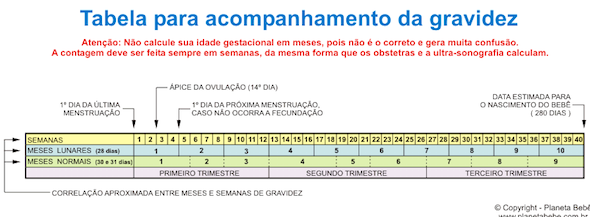 Quando começa a contagem das 40 semanas de gravidez controlar tempo gravidez2