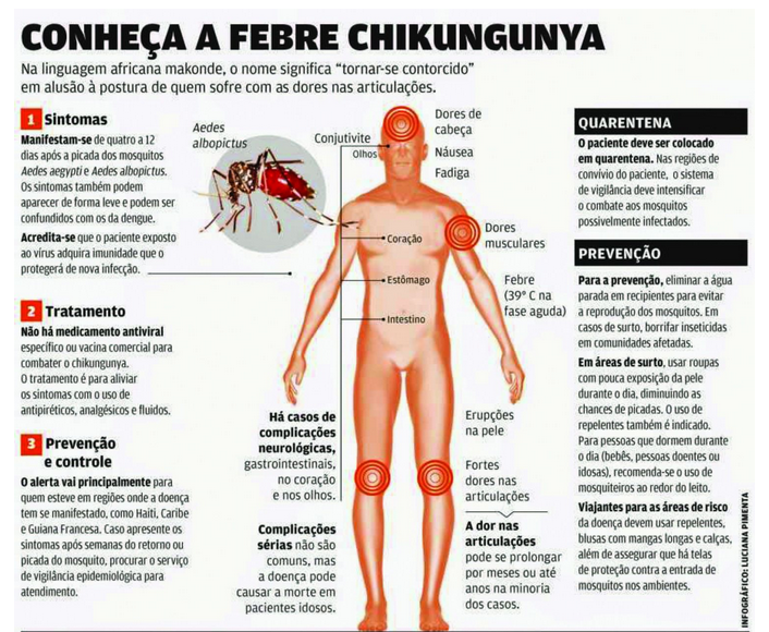 febre  Chikungunya  evitar